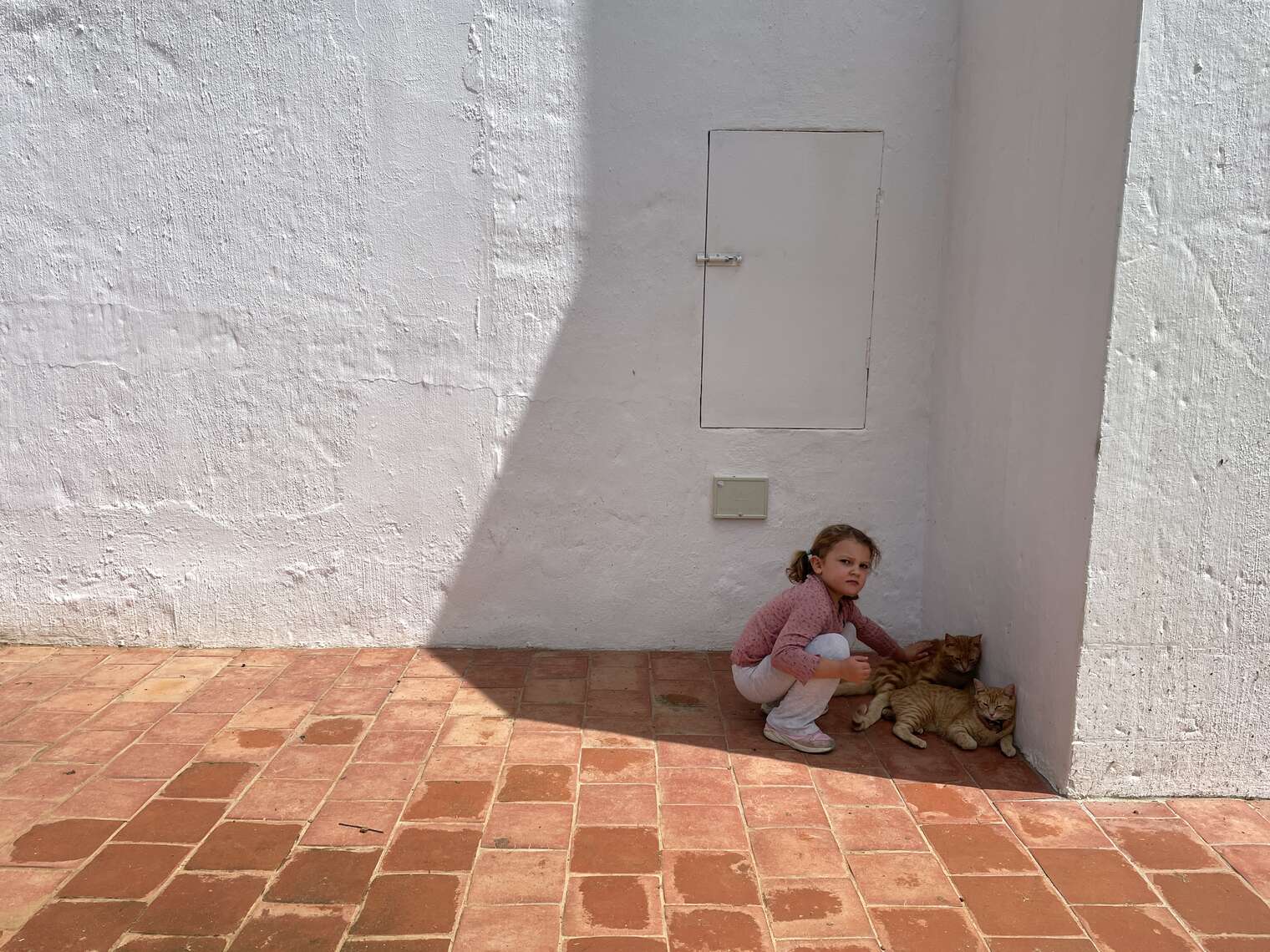 Child with two cats