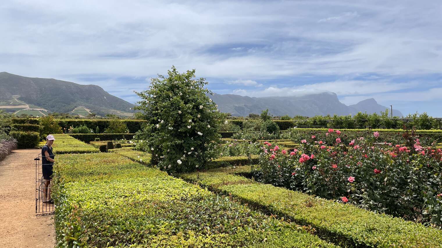 Constantia Uitsig