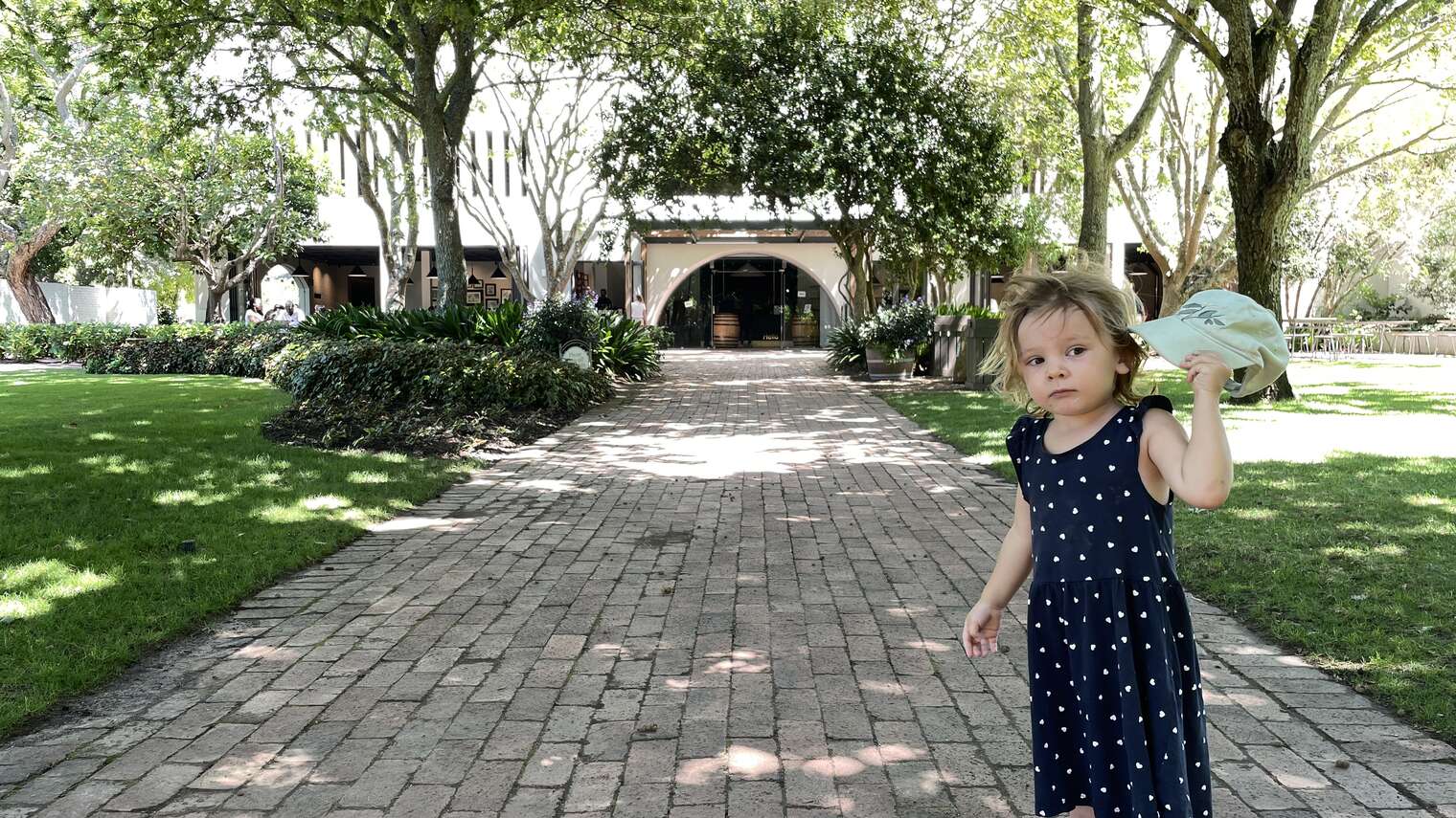 Groot Constantia wine bar