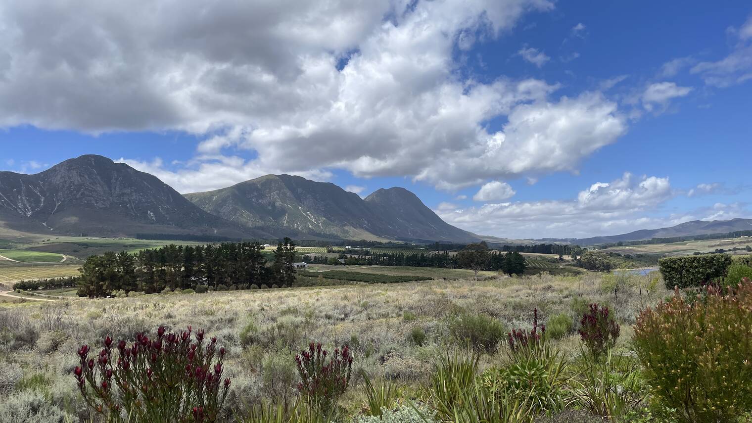 Hemel-en-Aarde valley
