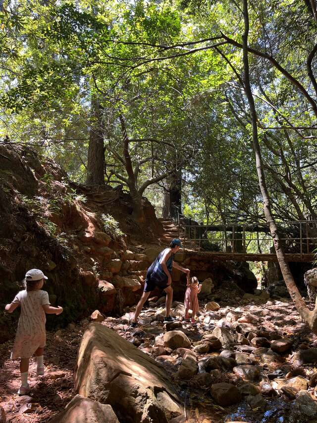Newlands rocks